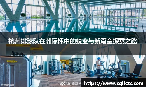 杭州排球队在洲际杯中的蜕变与新篇章探索之路